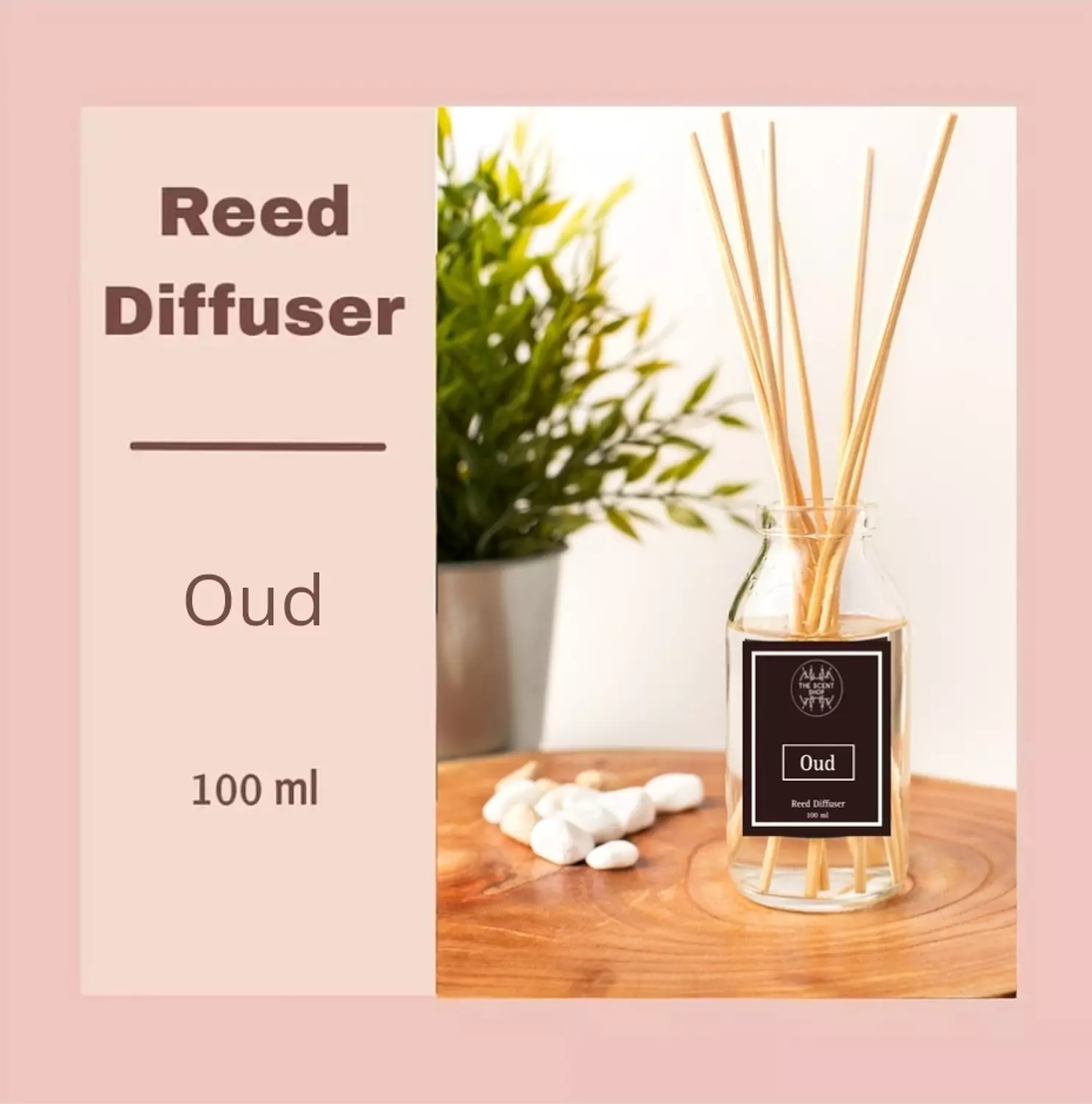 Oud Reed Diffuser  image