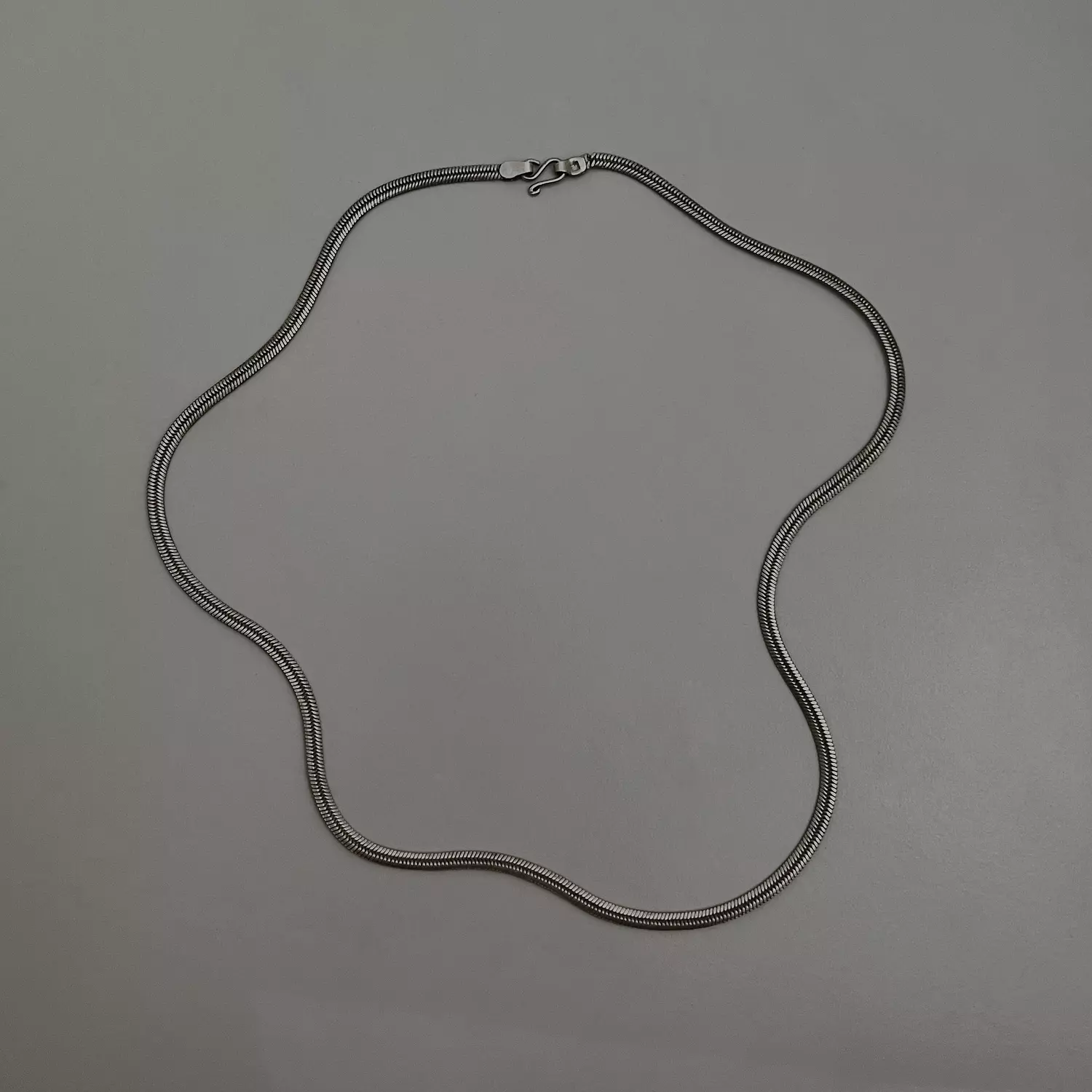 Silver snake image