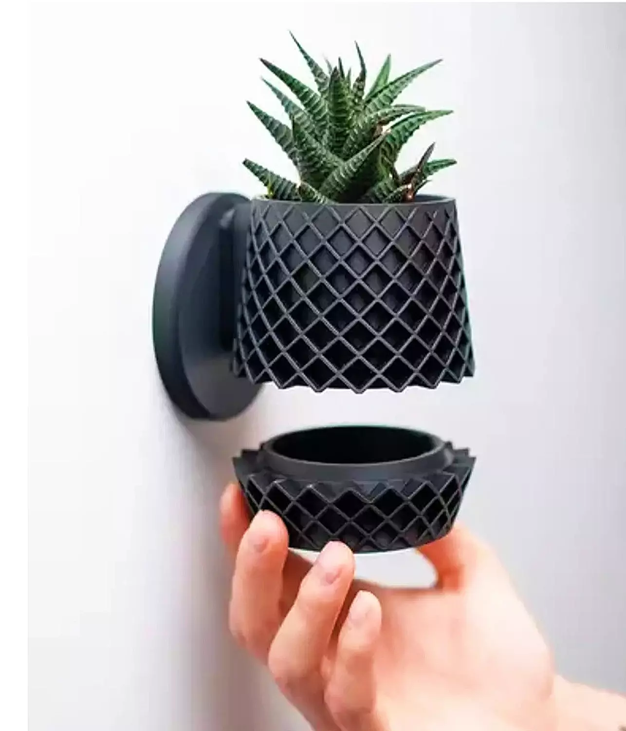 Lattice Planter By Pots  hover image