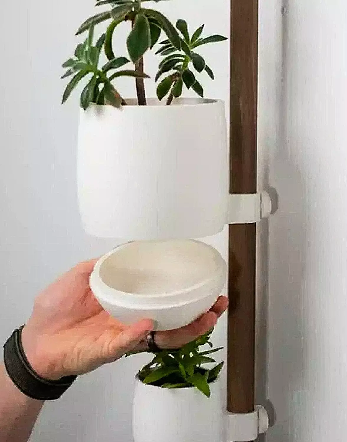 The Rail by Pots hover image