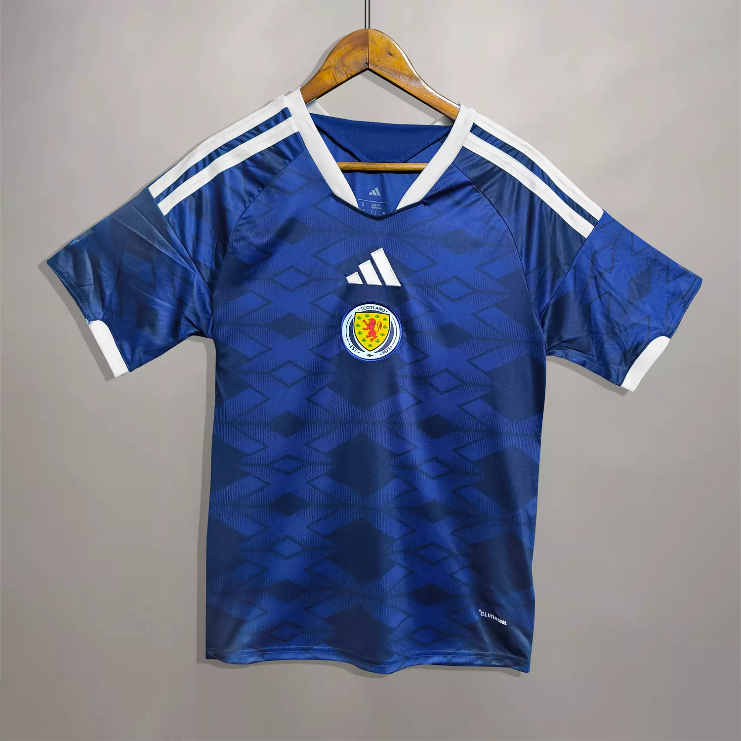 SCOTLAND WORLD CUP 26 FANS - NATIONAL image