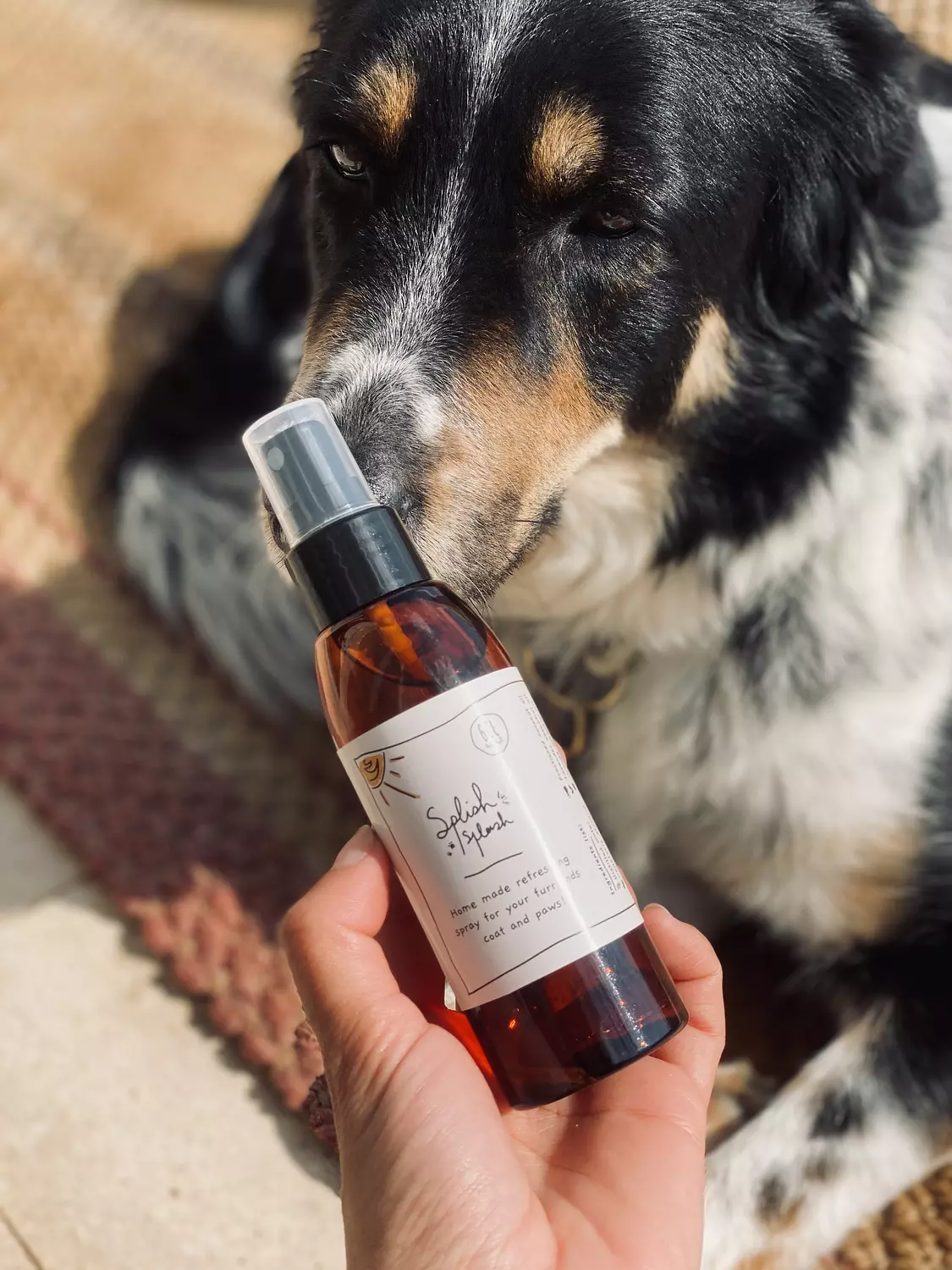 Coat & Paws refreshing spray  image