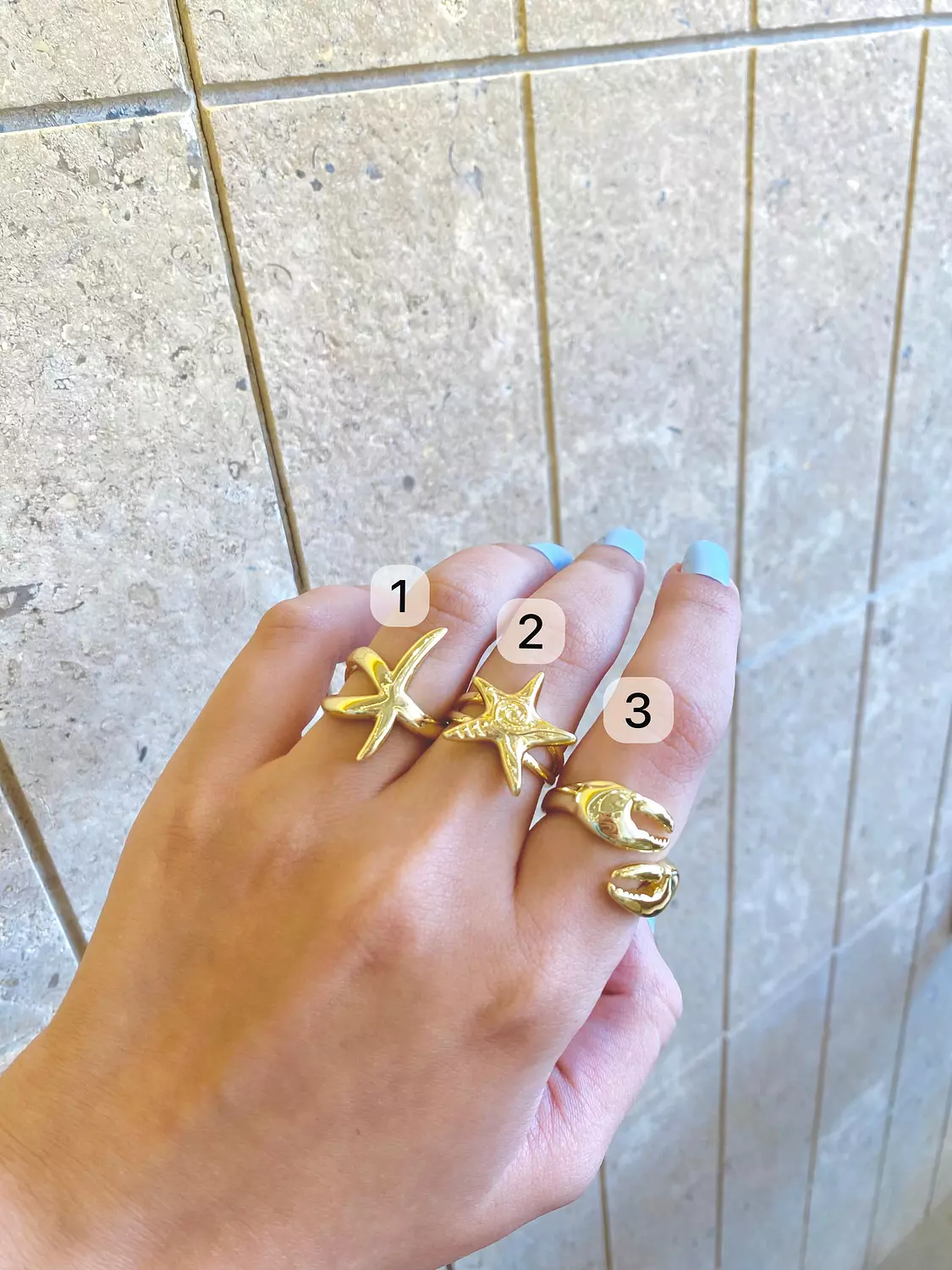 Starfish rings 1