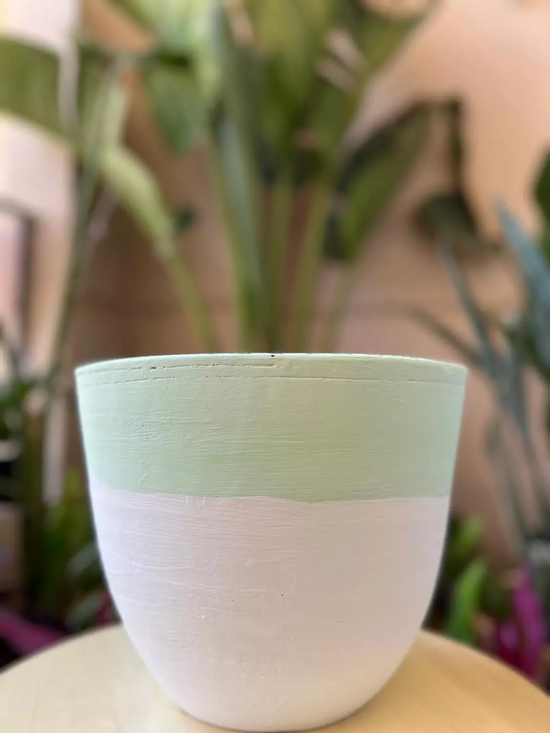 Mint Green X White Pottery Plant Pot Size 27 image