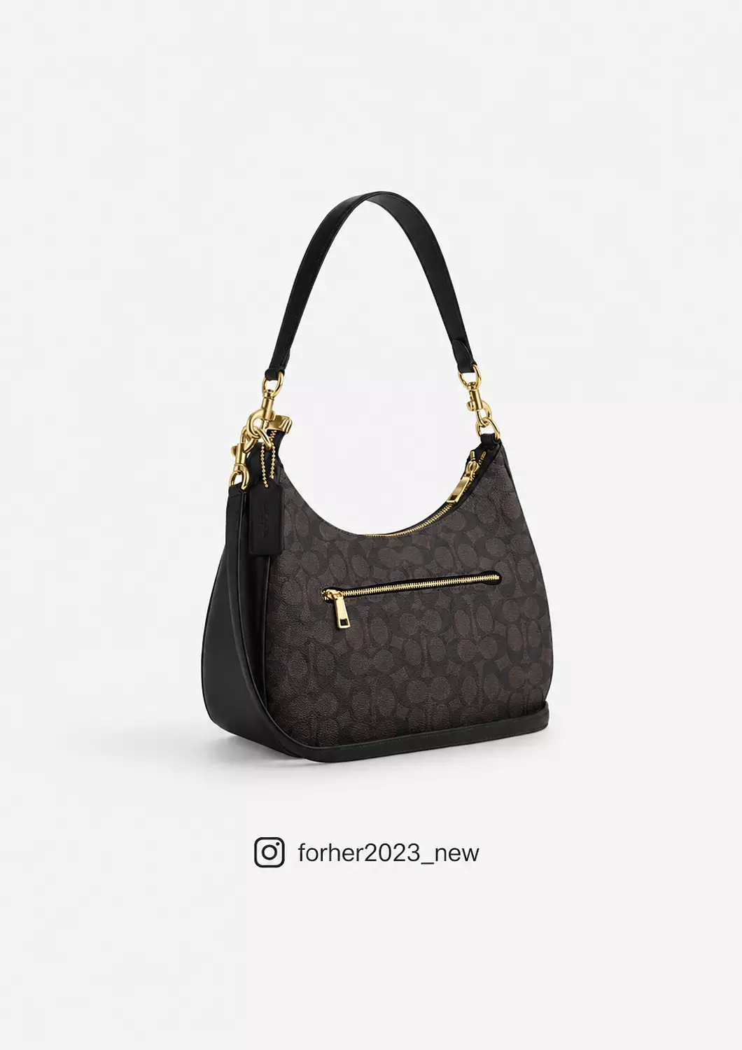 Coach Teri Hobo Bag In Signature Canvas 1