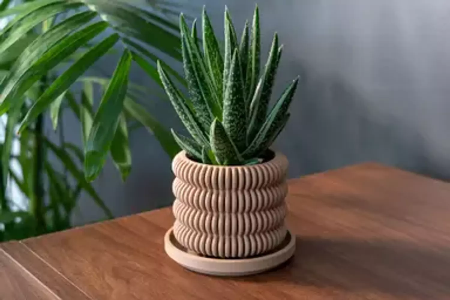 Planter with Drip Tray - The Clifton image
