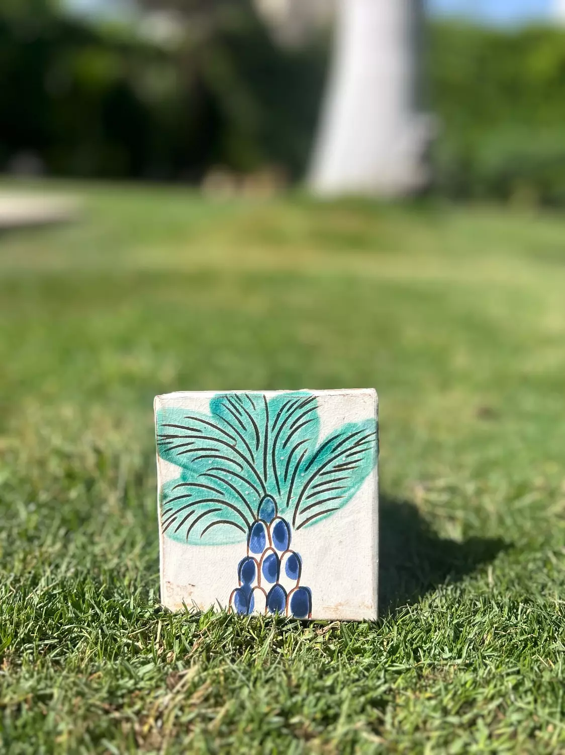 Palm Coasters hover image