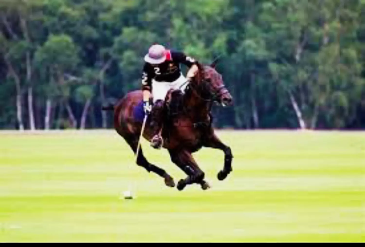 🎖️🌐Where Legends Meet Reality.The Timeless Sport of Polo. 2