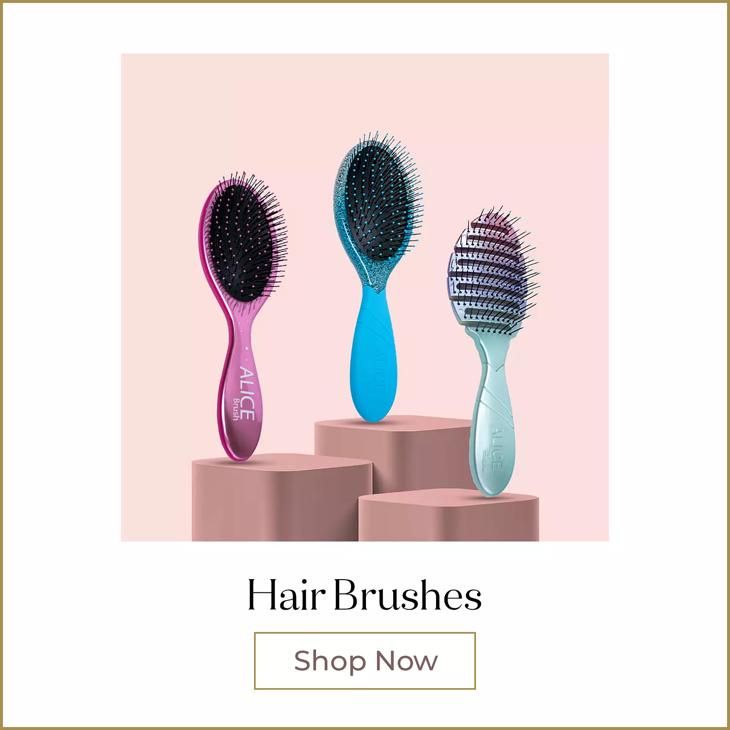 <p style="text-align: start"></p>