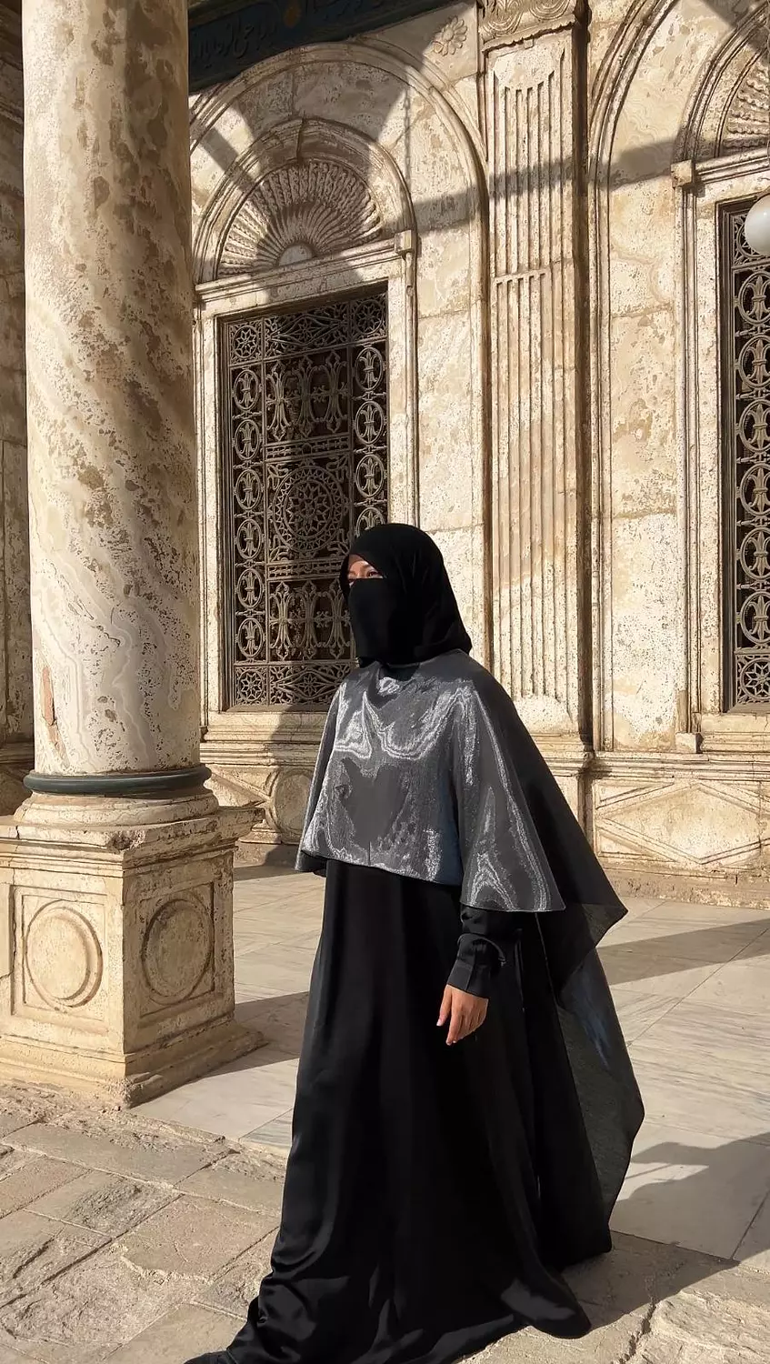 Shiny Lavish Dress in gray 045 5