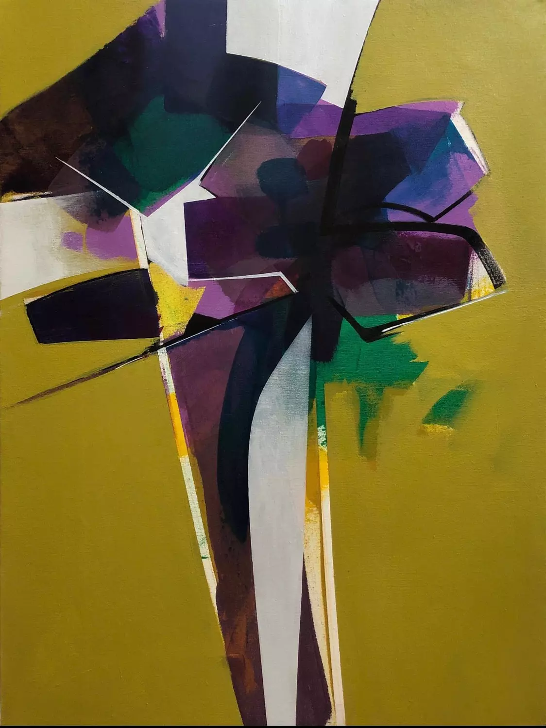 Hany Ali Abdelbadee/AC-0002394/ 60*80 image