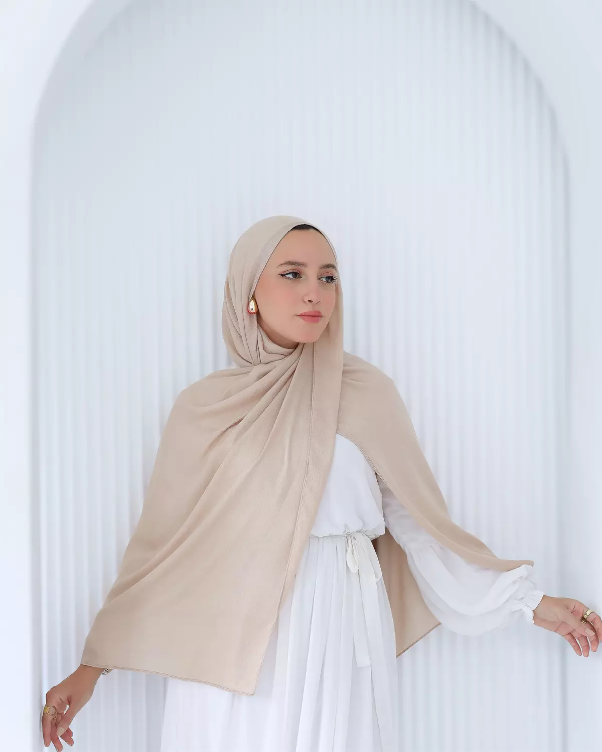 Beige Elegance 2