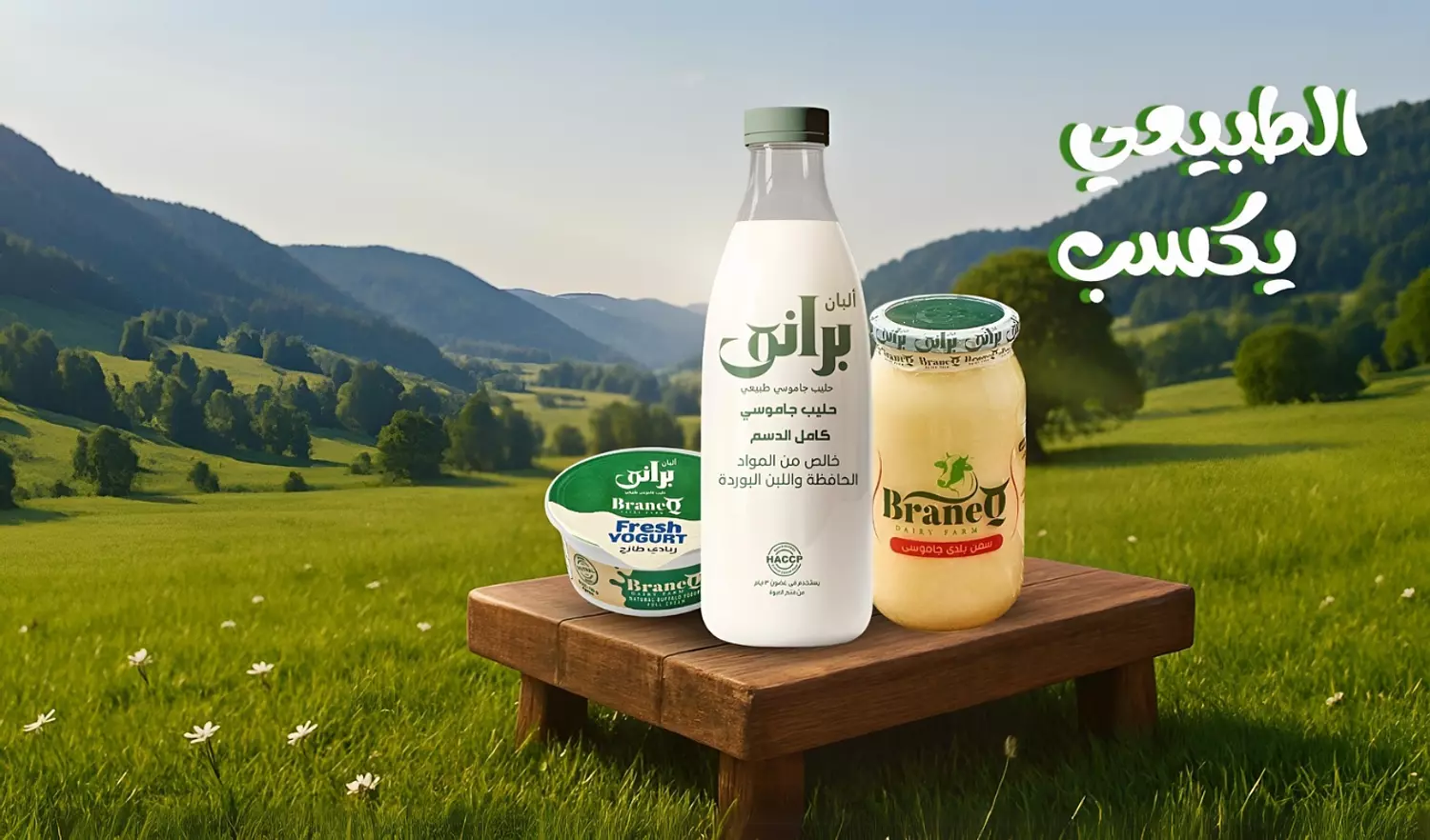 banner image for braneq store