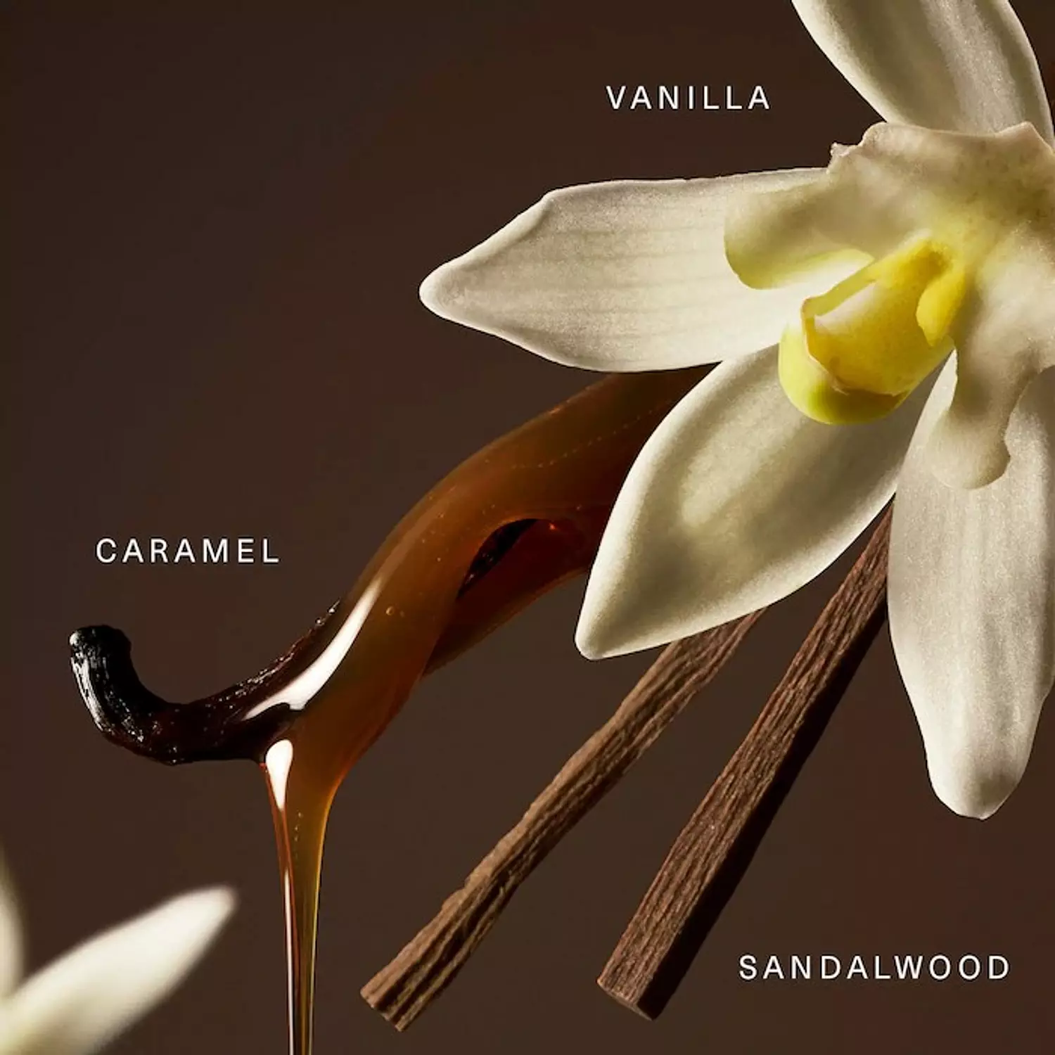 Rare Beauty by Selena Gomez  Rare Eau de Parfum with Vanilla and Caramel mini size 5 ml 2