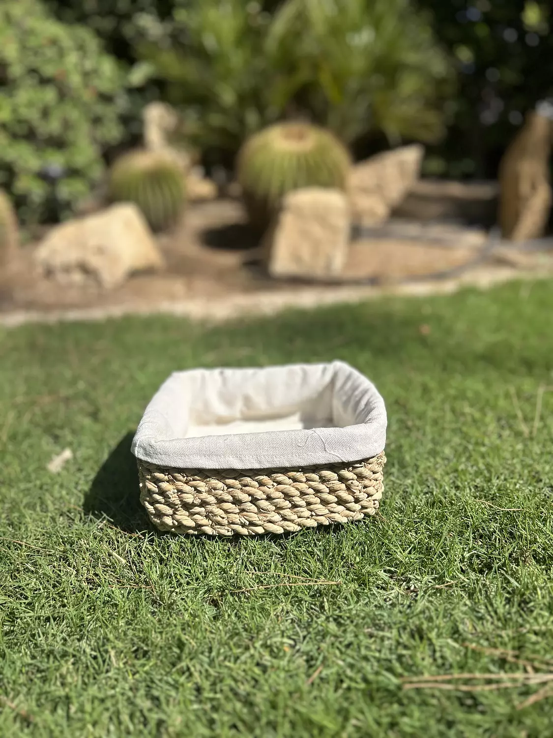 Boho Palm Basket image