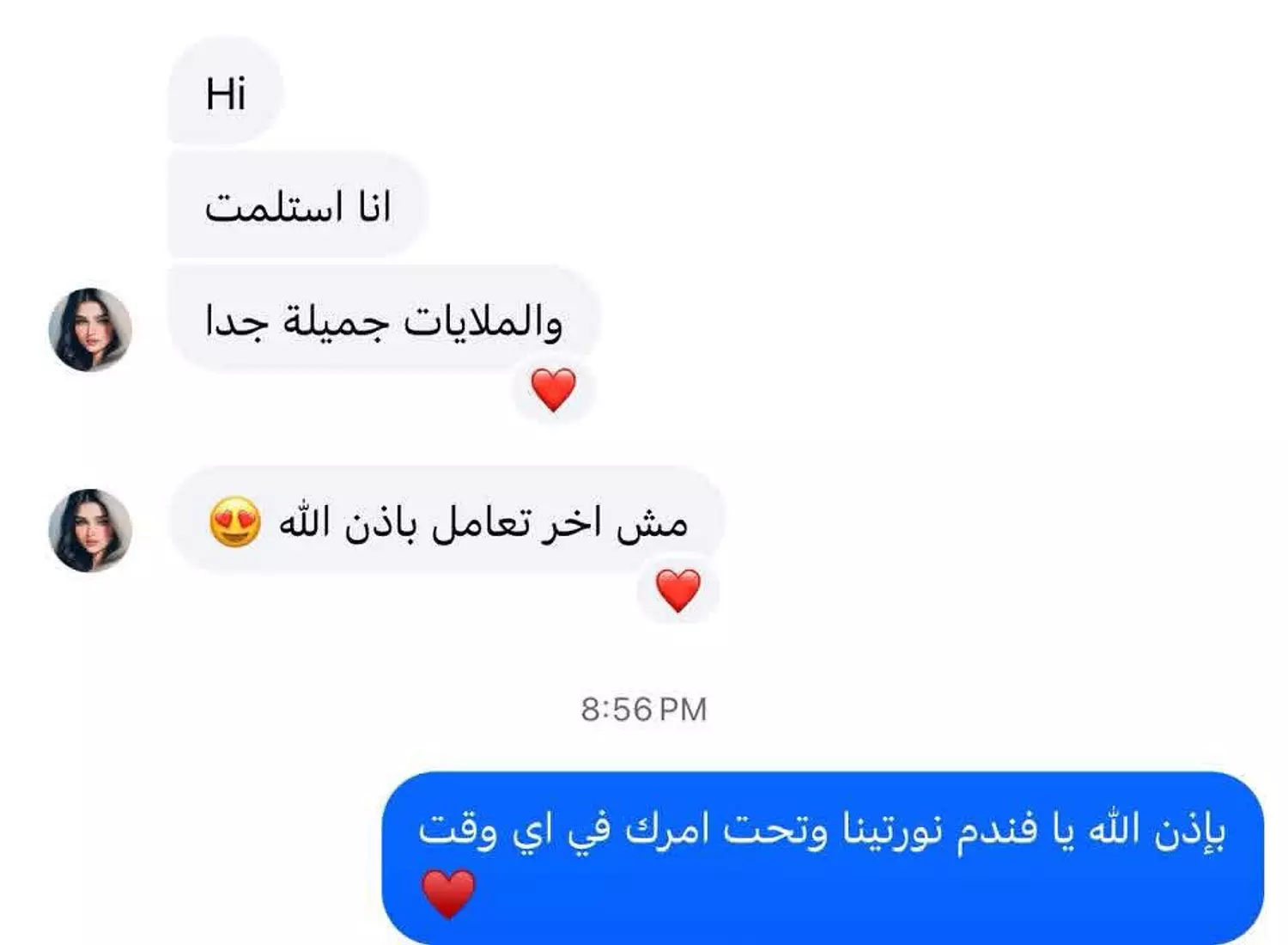 <p style="text-align: start"></p>