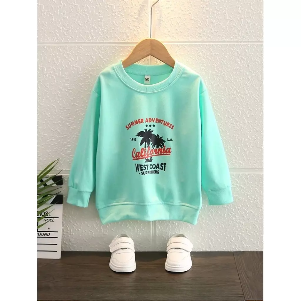 SHEIN Mid-season boy sweatshirt