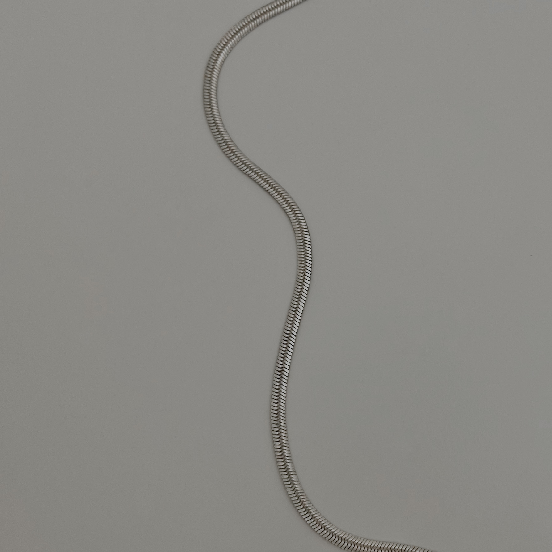 Silver snake 2