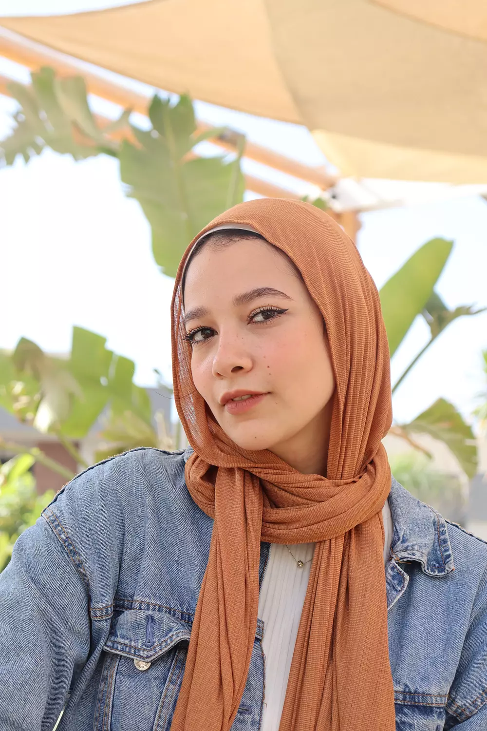 Kintted Cotton Lycra 1