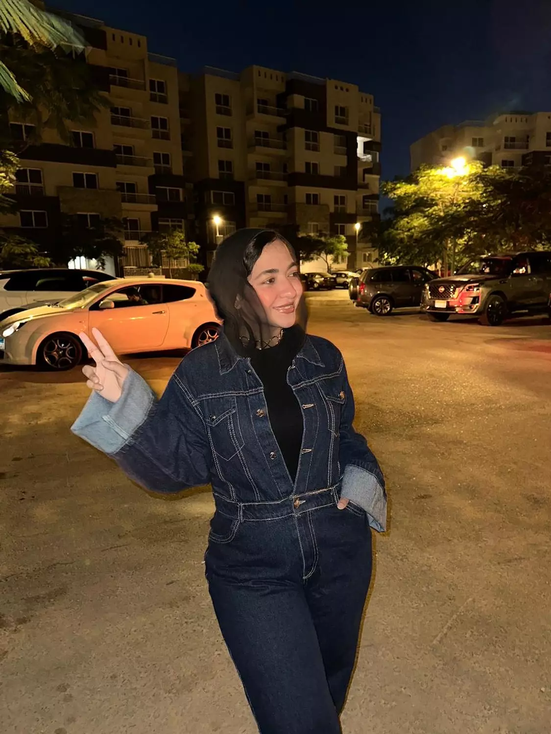 Denim Jumpsuit 4