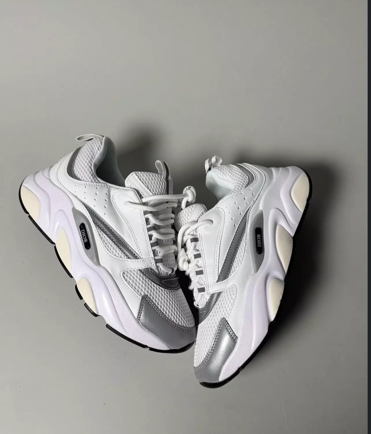 Dior B22 White Grey Reflective  2