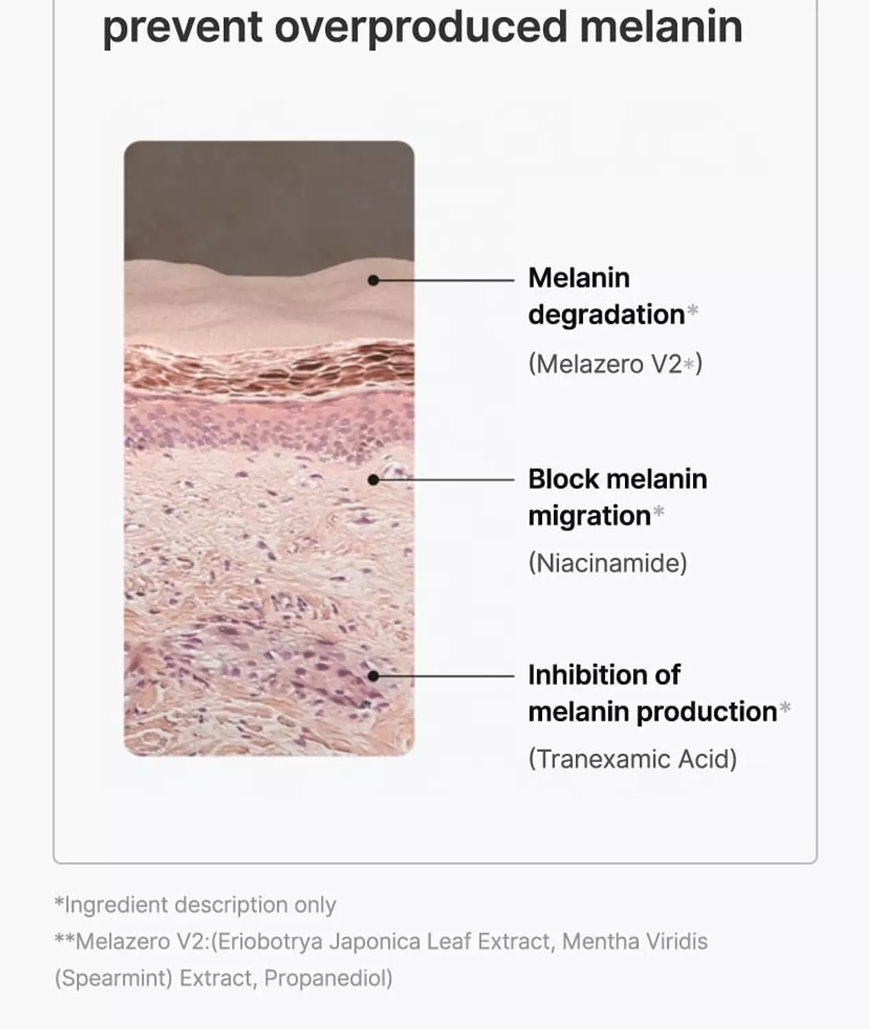 celimax - Pore + Dark Spot Brightening Pad 836 3