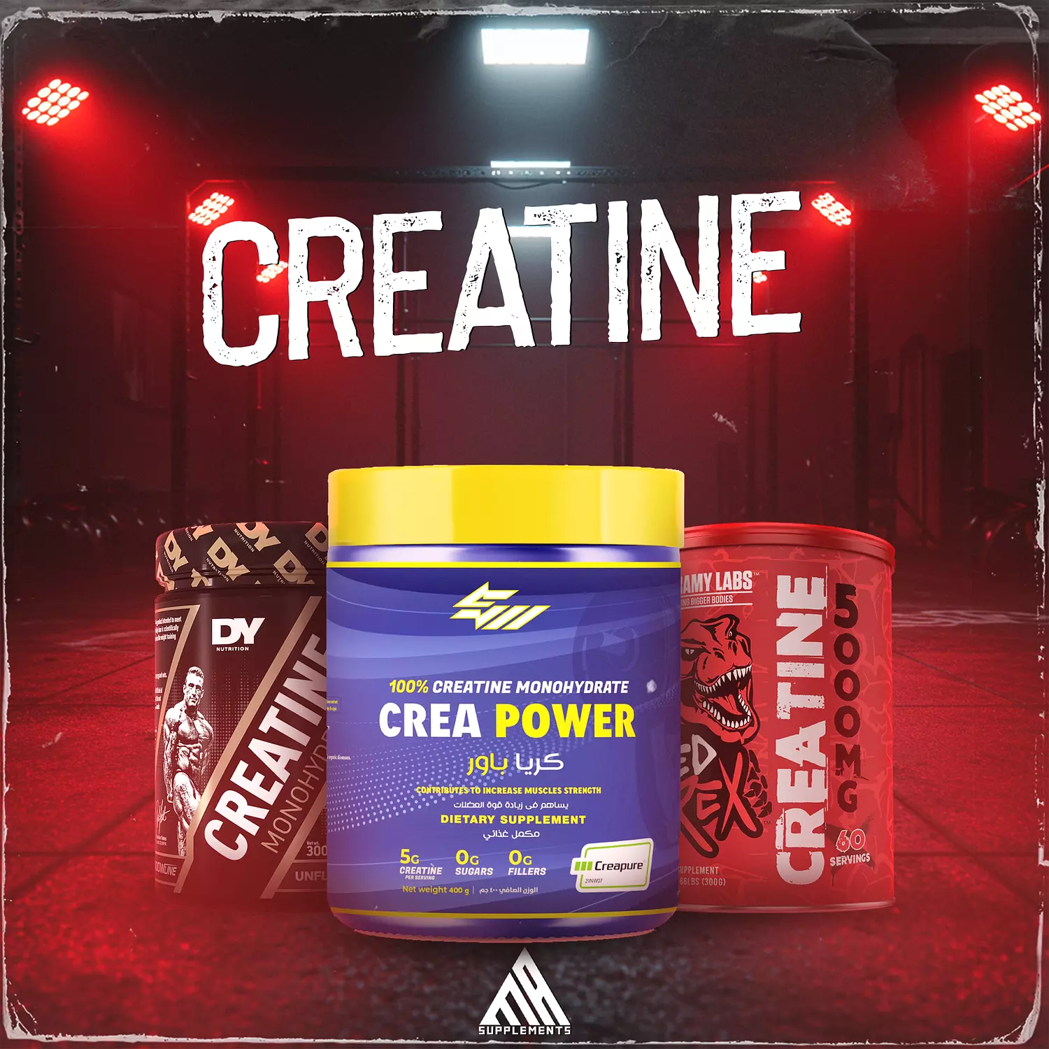 <p style="text-align: start"></p>