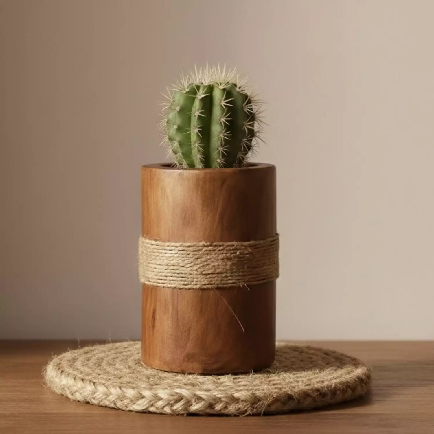 Boho Hollow Log image