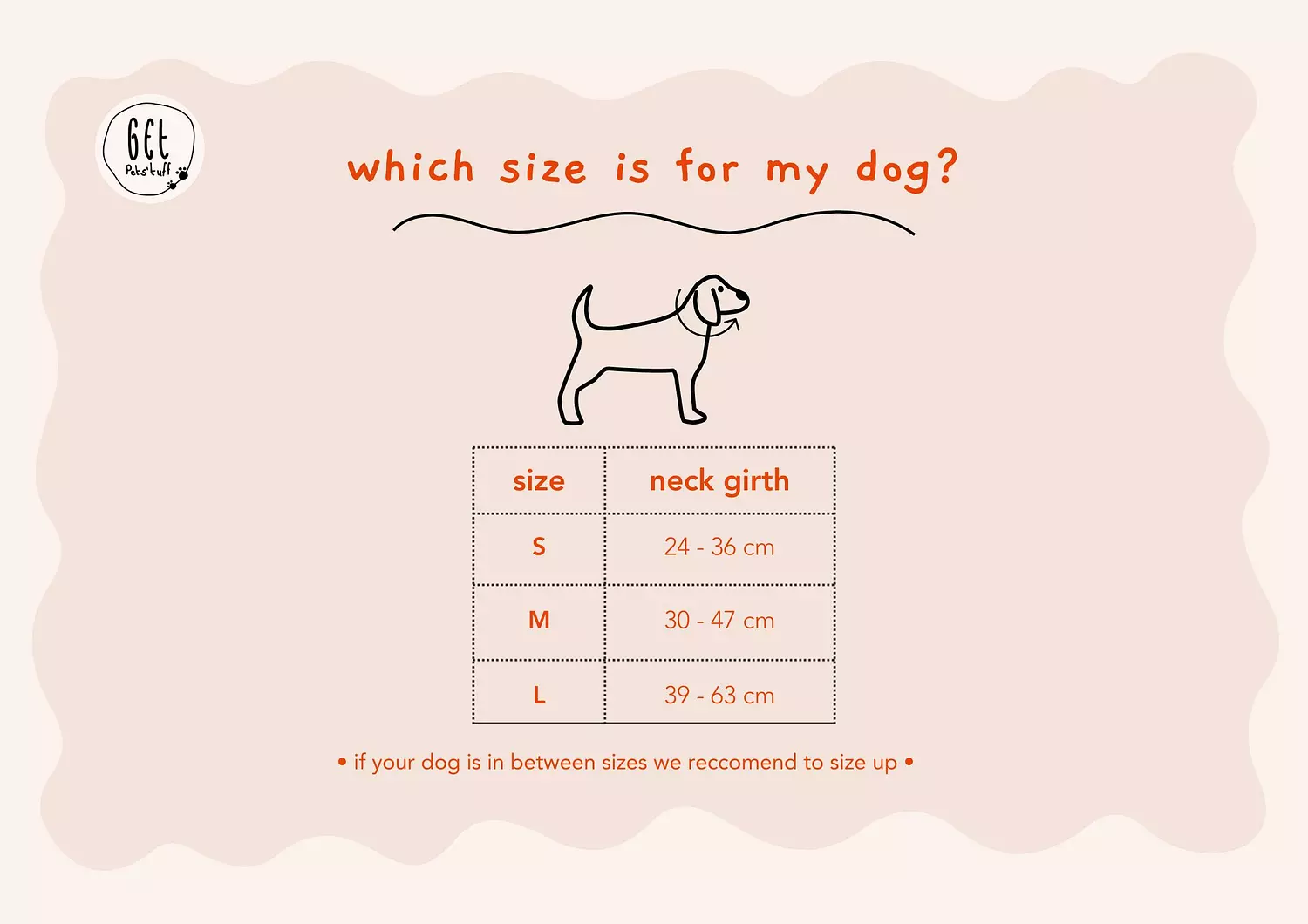 Essential Dog Collar 2