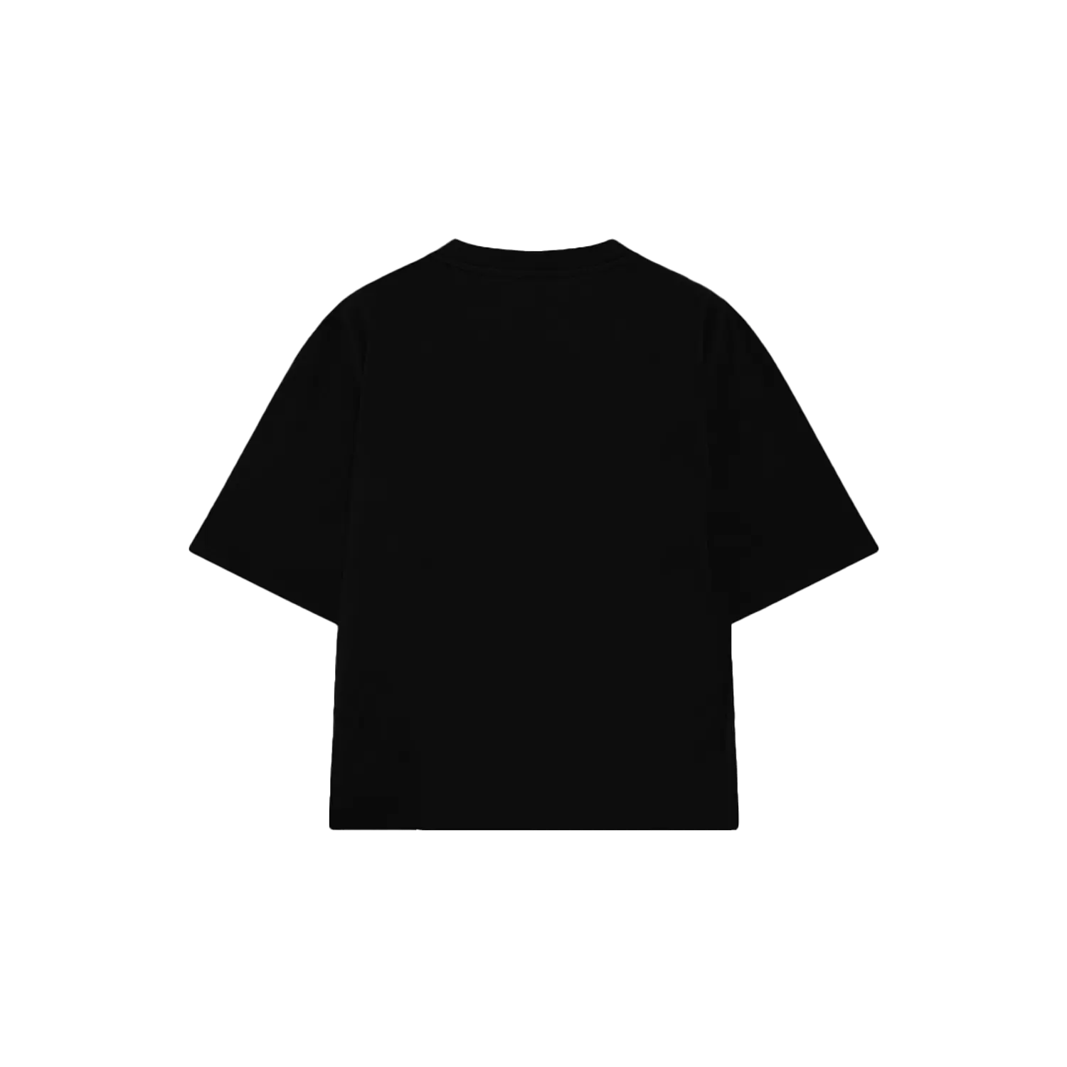 Oversized t-shirt hover image