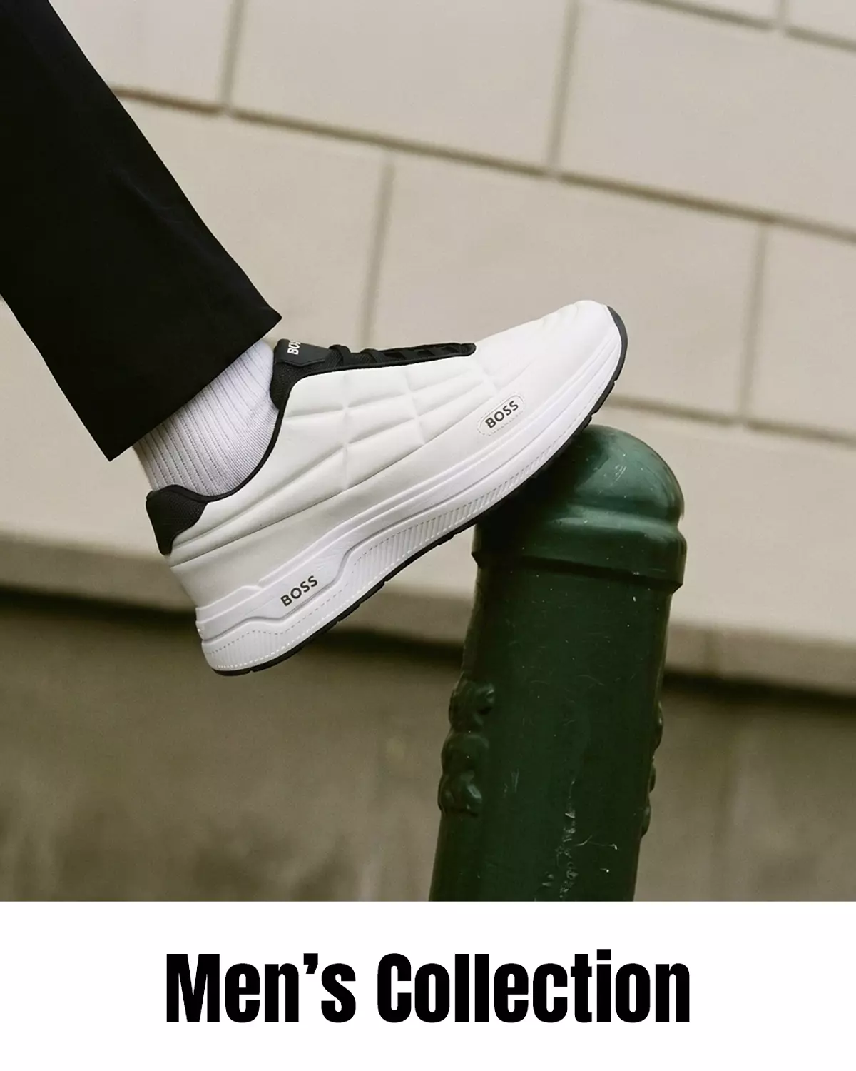 <p style="text-align: start"></p>