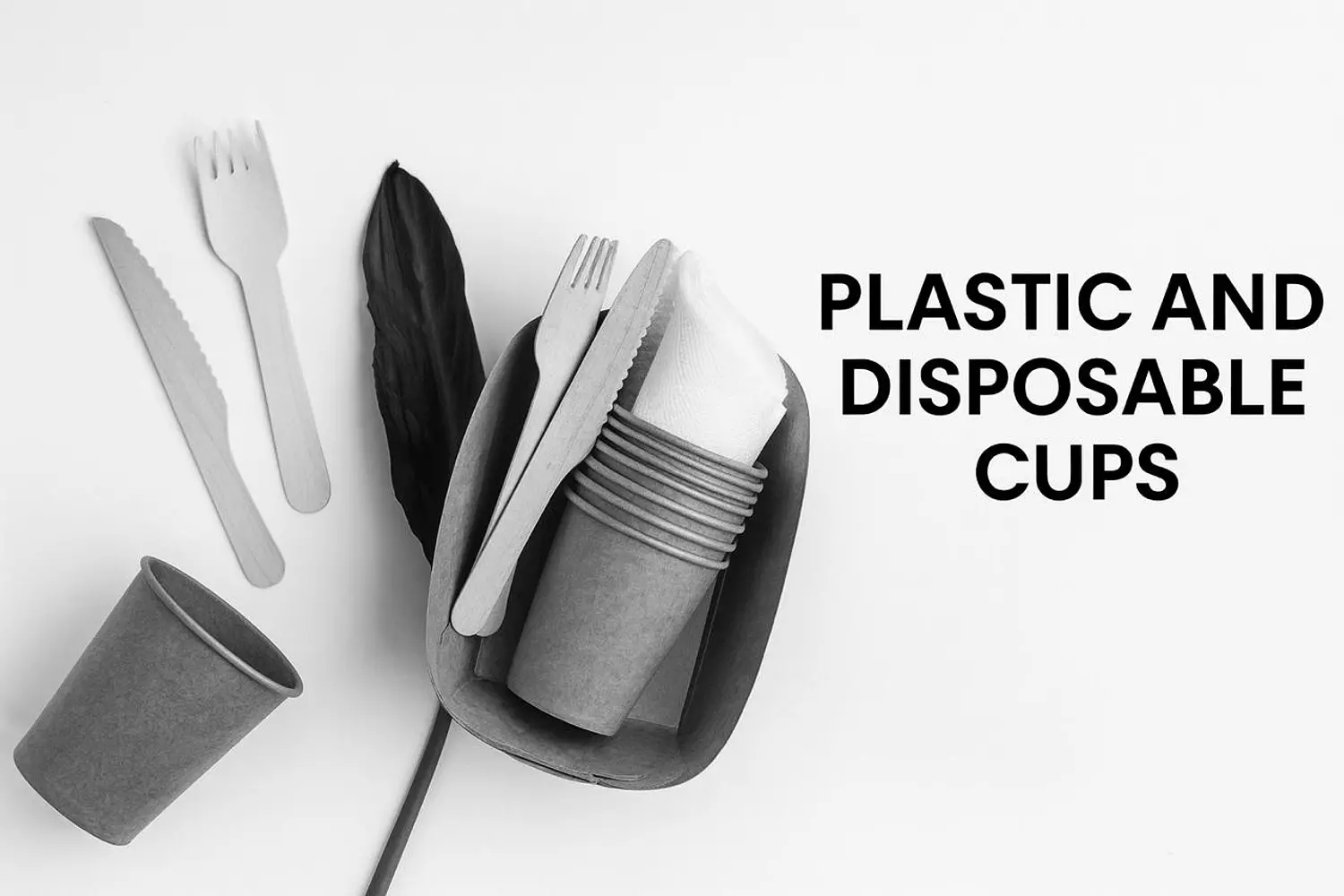 <h4 style="text-align: justify"><br>Plastic and Disposable Cups »</h4>