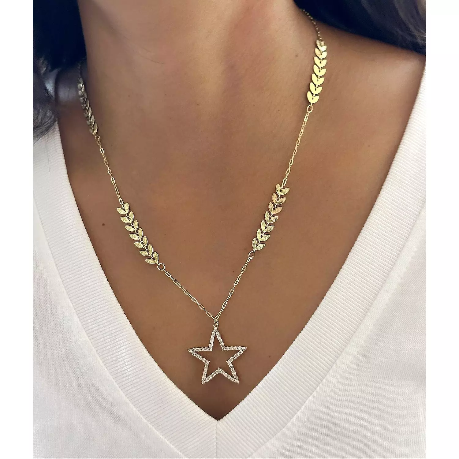 Meet the Star🌟 0