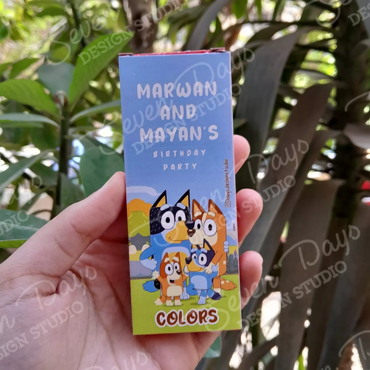 Bluey and Bingo Giveaways 6