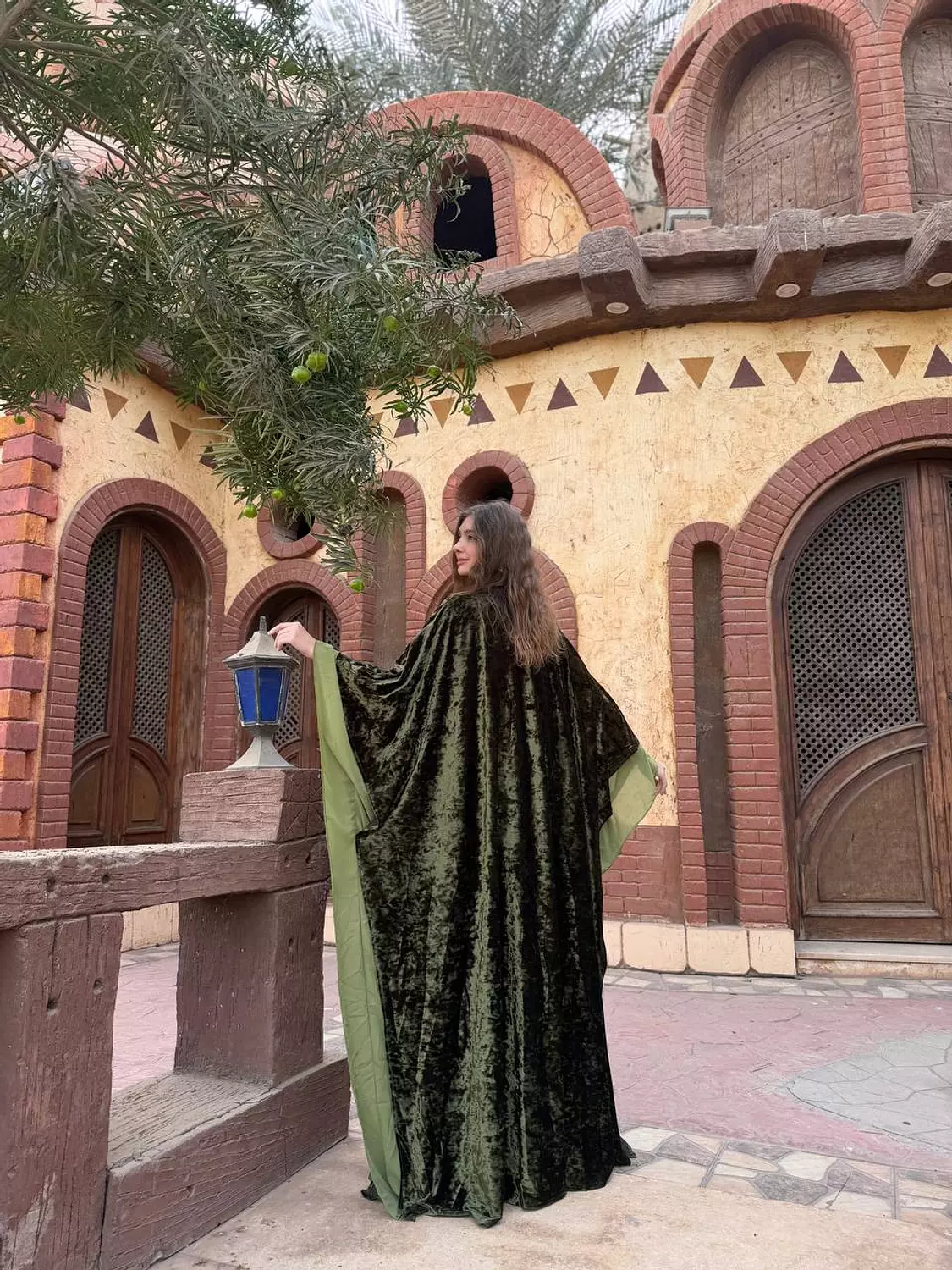 Velvet Shadow Kaftan 4