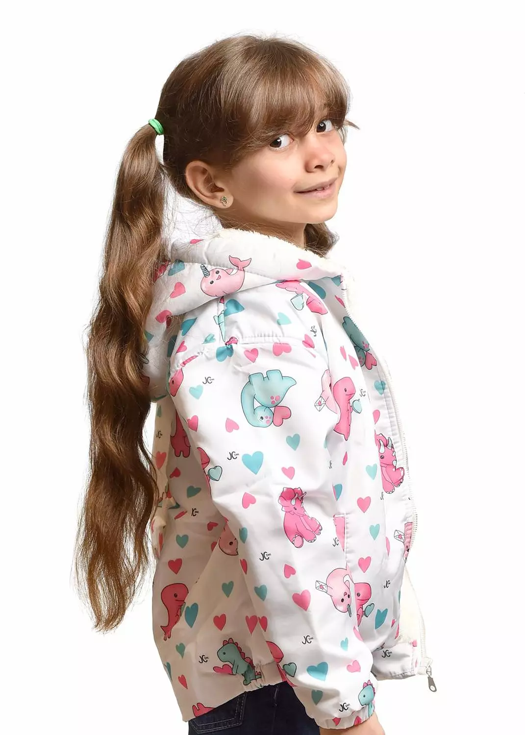 Dolphin Dinosaur Jacket image