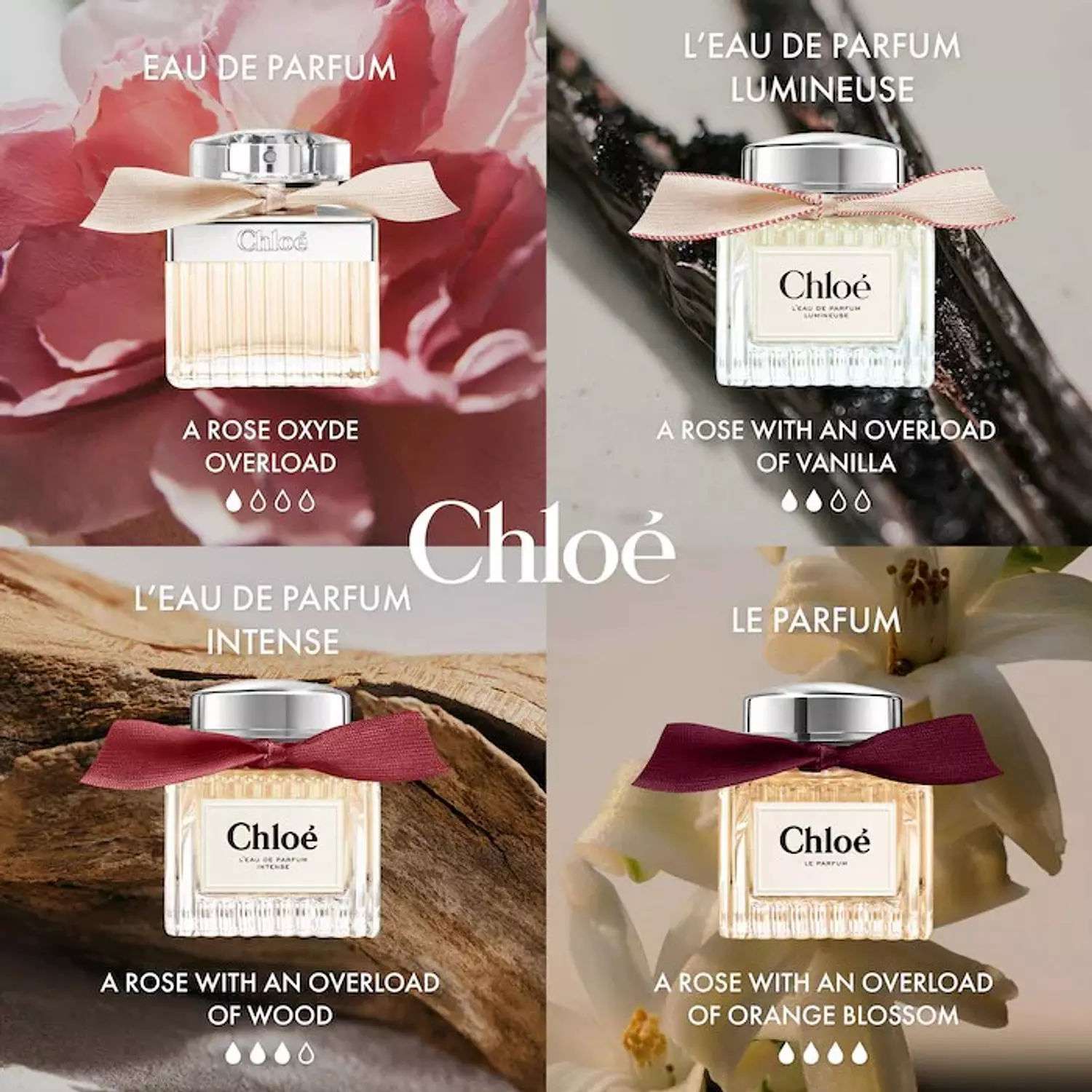 Chloé Eau de Parfum with Rose & Amber mini size 5 ml 2