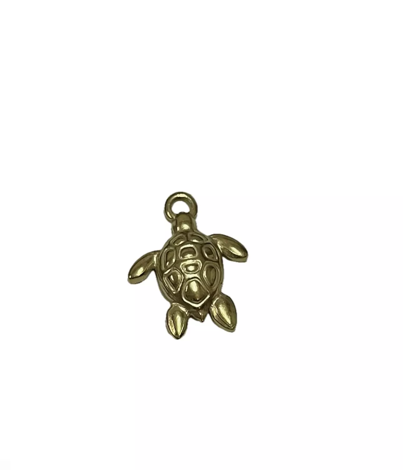 Turtle 🐢  image