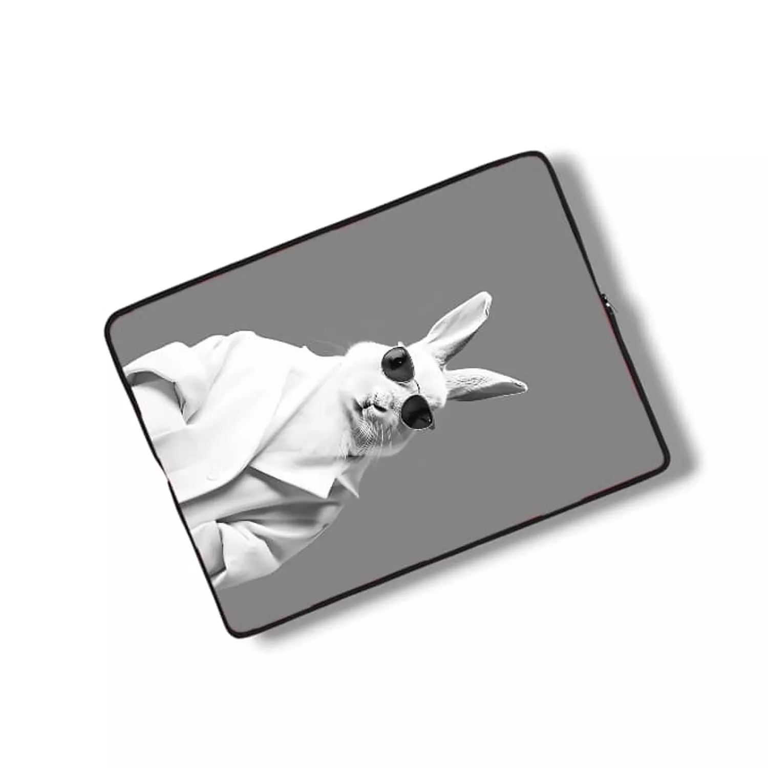 Agent bunny image