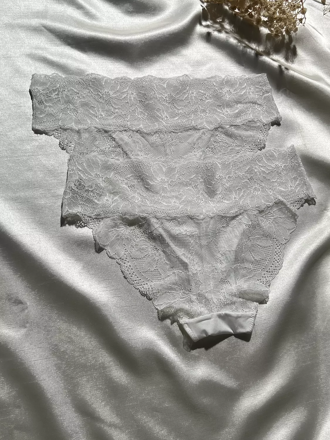 2pk Lace Bikini Panties  3