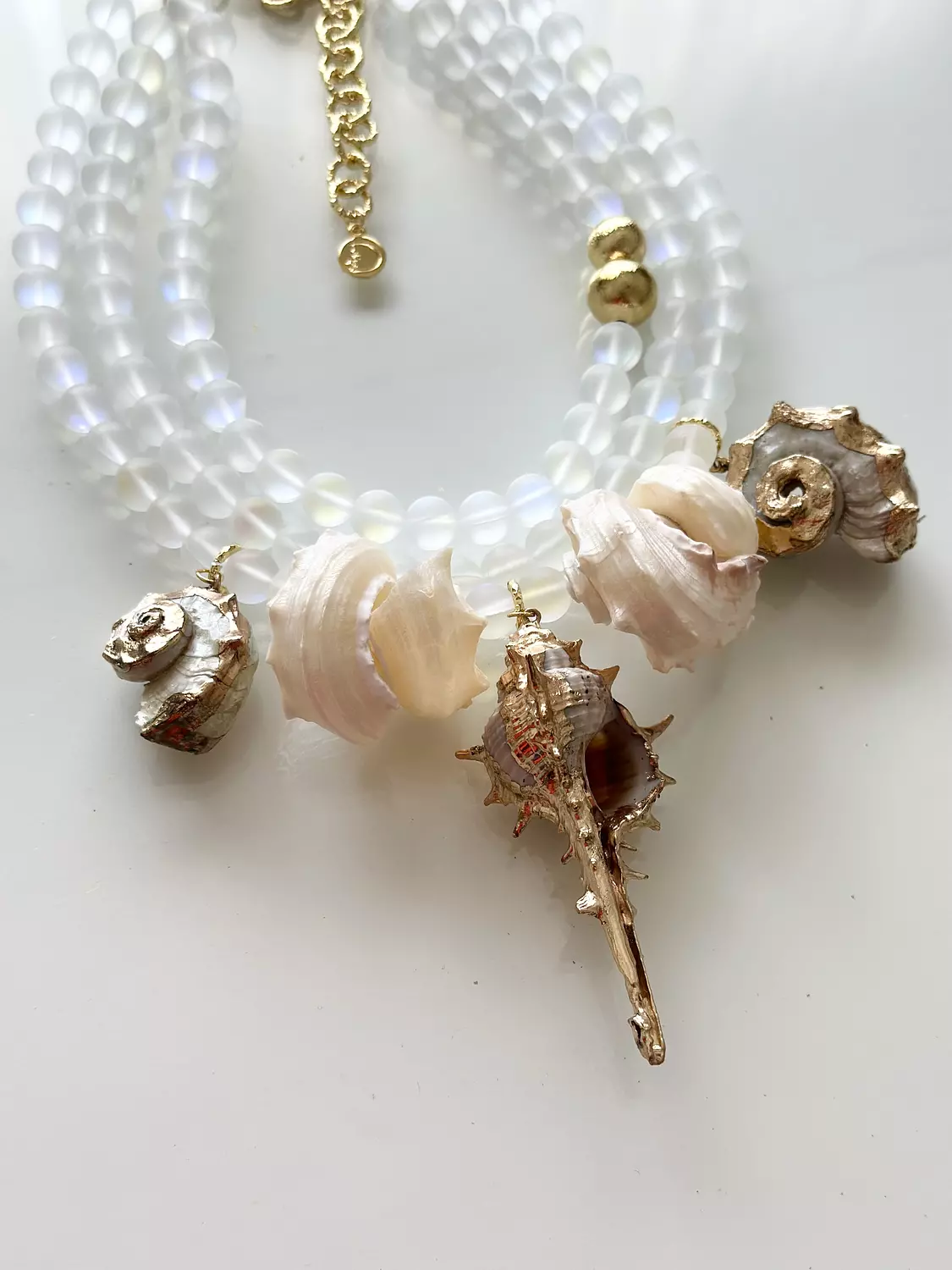 Seashells  2