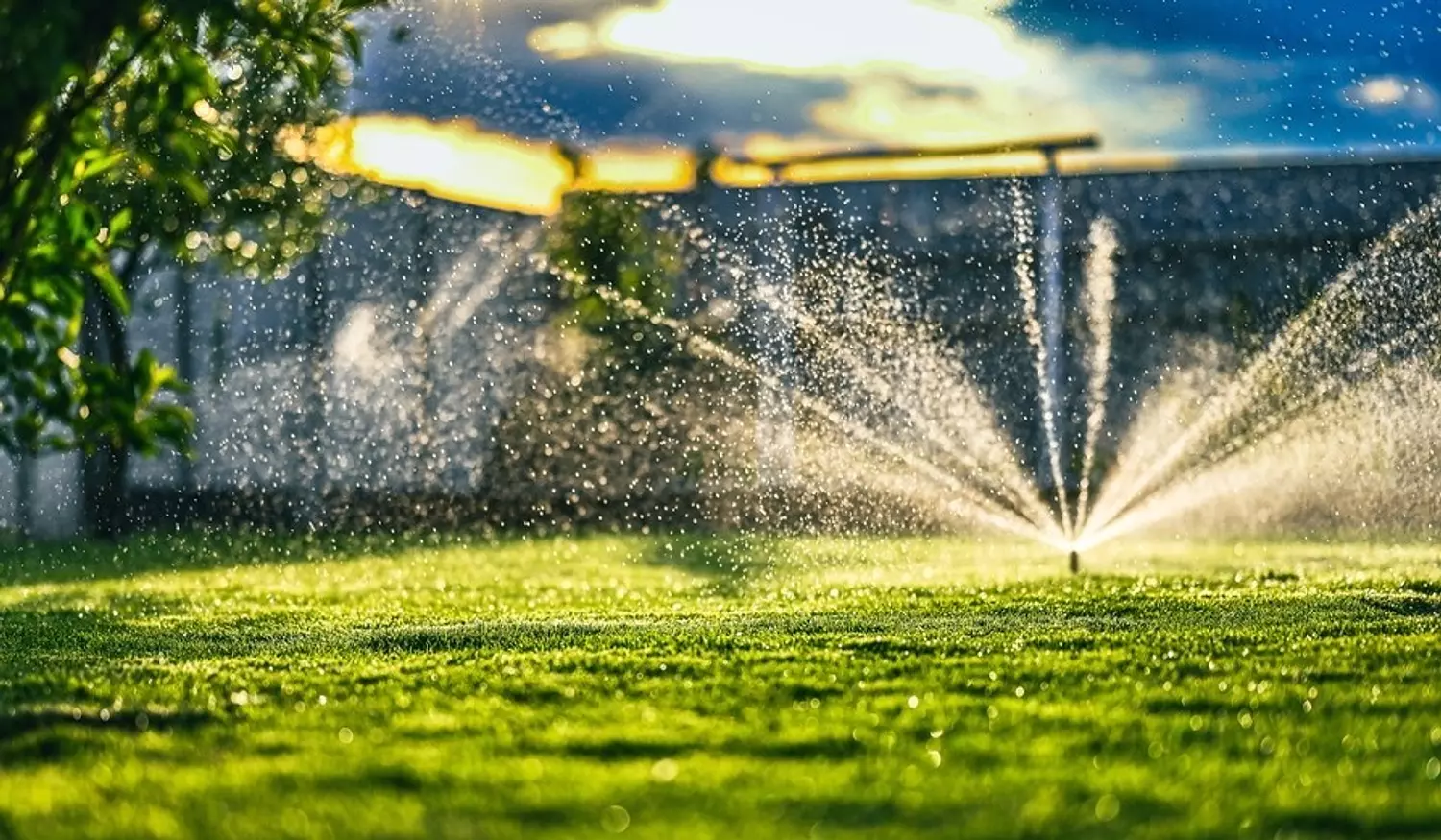 <h3><br>IRRIGATION NETWORKS</h3>