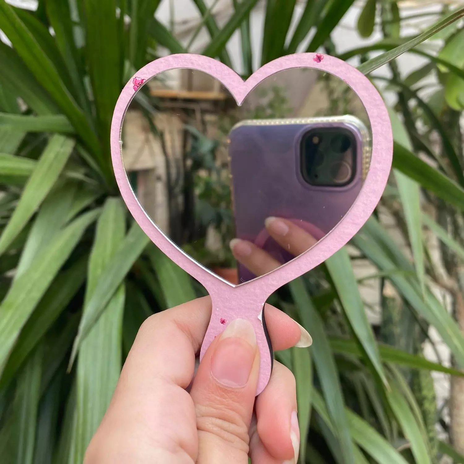 Birds Heart Mirror    1