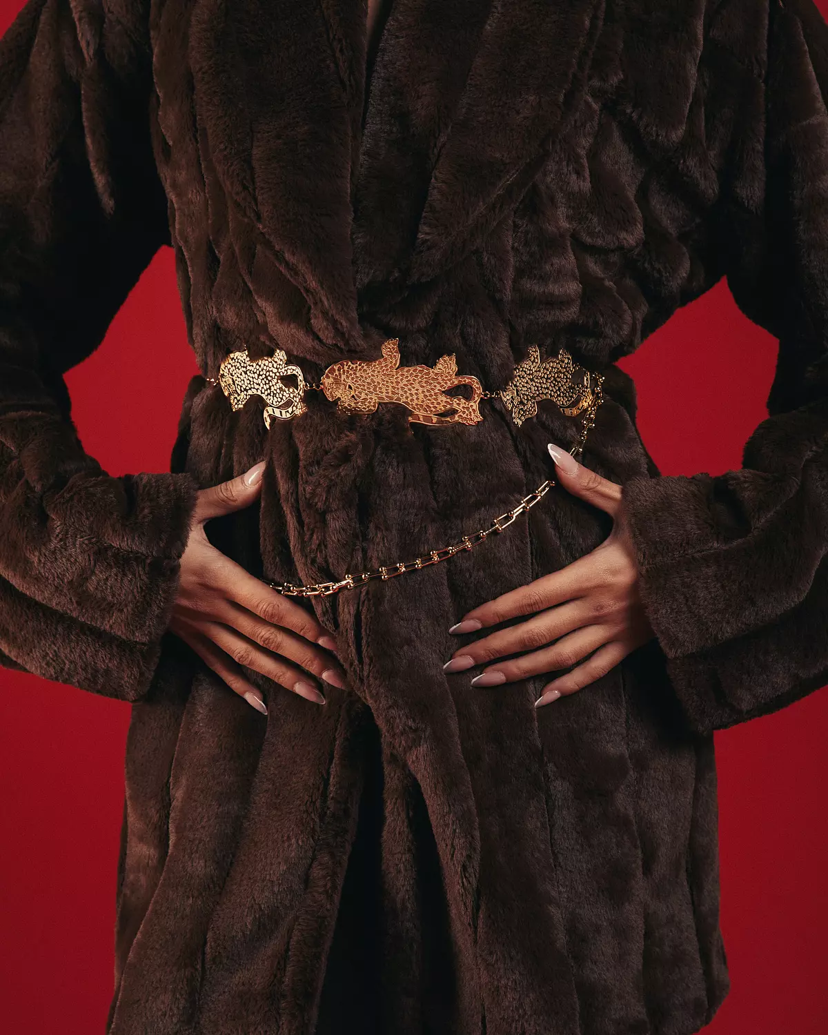 The Tiger - Gold Belt image