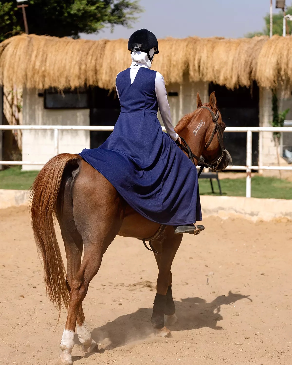 Dark Blue & White  1
