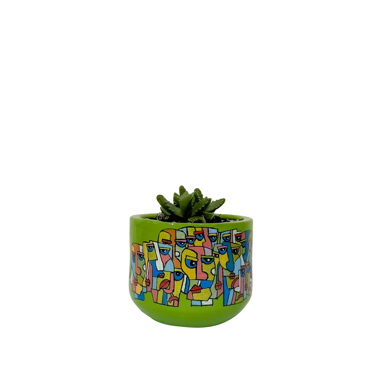 Faucaria Tigrina - Faces image